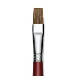 Escoda Bravo Light Ox Hair Brush - Bright, Long Handle, Size 16 close up