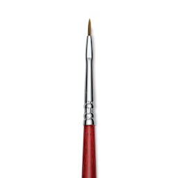 Escoda Bravo Light Ox Hair Brush - Long Filbert, Long Handle, Size 0 close up