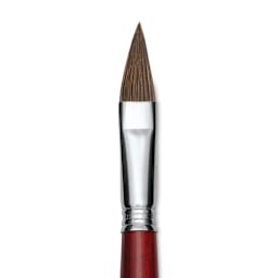 Escoda Bravo Light Ox Hair Brush - Long Filbert, Long Handle, Size 16 close up