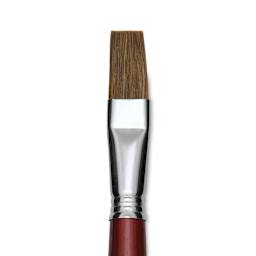 Escoda Bravo Light Ox Hair Brush - Flat, Long Handle, Size 18 close up