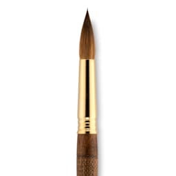 Escoda Reserva Kolinsky-Tajmyr Sable Brush - Pointed Round, Short Handle, Size 16 (close-up)