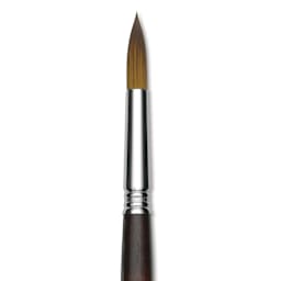 Escoda Prado Tame Synthetic Brush - Round, Short Handle, Size 14, close-up