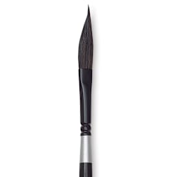 Silver Brush Black Velvet Brush - Striper, Size 1/4" close up