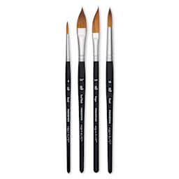 Princeton Aqua Elite Series 4850 Brushes - Blick Exclusive Set of 4, out of package