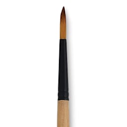 Dynasty Black Gold Brush - Round, Short Handle, Size 5 close up