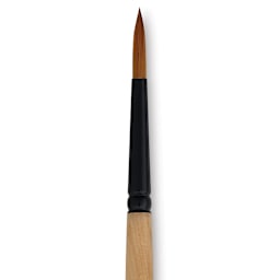 Dynasty Black Gold Brush - Round, Short Handle, Size 7 close up