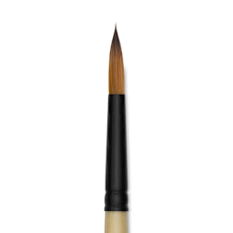 Dynasty Black Gold Brush - Round, Short Handle, Size 8 close up