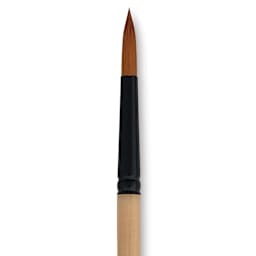 Dynasty Black Gold Brush - Round, Short Handle, Size 9 close up