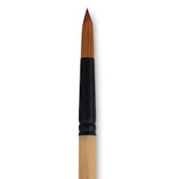 Dynasty Black Gold Brush - Round, Short Handle, Size 14 close up