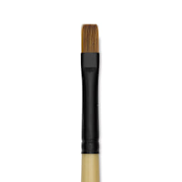 Dynasty Black Gold Brush - Shader, Short Handle, Size 6 close up