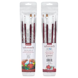 Princeton Velvetouch Series 3900 Brushes - Set of 4, Long Handle, front and back of packaging