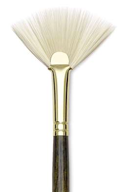 Fan, Size 8 Close-up