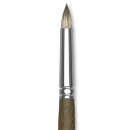Silver Brush Monza Synthetic Mongoose Artist Brush - Short Round, Size 12 close up
