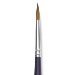 Winsor & Newton Artists' Kolinsky Sable Watercolor Brush - Round, Short Handle, Size 5 close up