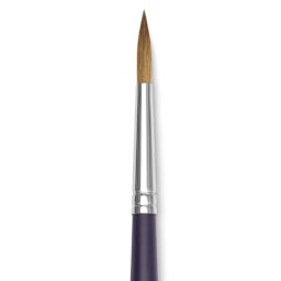 Winsor & Newton Artists' Kolinsky Sable Watercolor Brush - Round, Short Handle, Size 6 close up