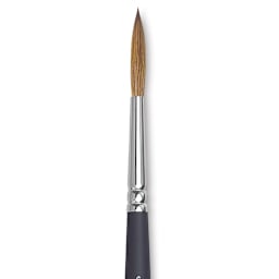 Winsor & Newton Artists' Watercolor Brush - Rigger, Short Handle, Size 6 close up