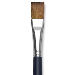 Winsor & Newton Artists' Kolinsky Sable Watercolor Brush - One-Stroke, Short Handle, Size 1/2" close up