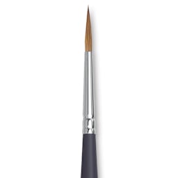 Winsor & Newton Artists' Kolinsky Sable Watercolor Brush - Pointed Round, Short Handle, Size 4 close up