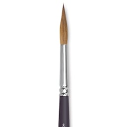 Winsor & Newton Artists' Kolinsky Sable Watercolor Brush - Pointed Round, Short Handle, Size 8