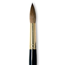 Da Vinci Maestro Kolinsky Brush - Full Belly Round, Short Handle, Size 16 close up