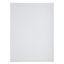 Blick Studio Cotton Canvas Panel - 9" x 12"