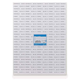 Blick Studio Cotton Canvas Panel - 12" x 16" back