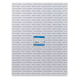 Blick Studio Cotton Canvas Panel - 14" x 18" back