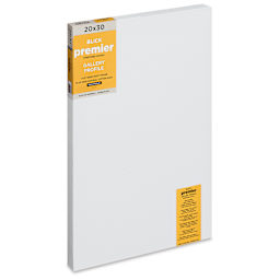 Blick Premier Stretched Cotton Canvas - Gallery Profile, Back-Stapled, 20" x 30"