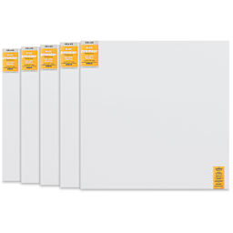 Blick Premier Stretched Cotton Canvas - Gallery Profile, Back-Stapled, 48" x 48", Pkg of 5 front