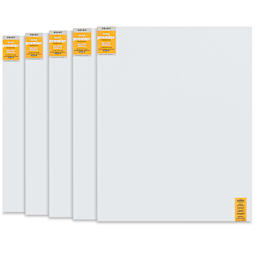 Blick Premier Stretched Cotton Canvas - Gallery Profile, Back-Stapled, 48" x 60", Pkg of 5