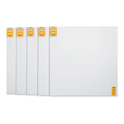 Blick Premier Stretched Cotton Canvas - Gallery Profile, Back-Stapled, 60" x 60", Pkg of 5 (five fronts)
