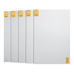 Blick Premier Stretched Cotton Canvas - Gallery Profile, Back-Stapled, 48" x 72", Pkg of 5 (five fronts)
