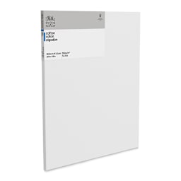 Winsor & Newton Classic Cotton Canvas - 20" x 24", 3/4" Traditional Profile