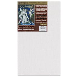 Masterpiece Santa Cruz Hardcore Pro Canvas Panel - 10" x 16"