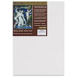 Masterpiece Santa Cruz Hardcore Pro Canvas Panel - 11" x 14"