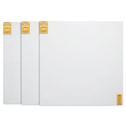Blick Premier Stretched Cotton Canvas - Gallery Profile, Splined, 60" x 60", Pkg of 3 (three fronts)