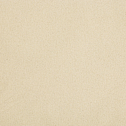 Blick Unprimed Cotton Canvas - Medium Weight, Portrait-Smooth Texture, 10 oz, 72" x 6 yds close-up of texture