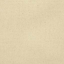 Blick Unprimed Cotton Canvas - Lightweight, Fine Texture, 7oz, 60" x 10 yds close-up of surface texture