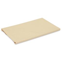 Blick Unprimed Cotton Canvas - Medium Weight, Medium-Smooth Texture, 60" x 2 yds