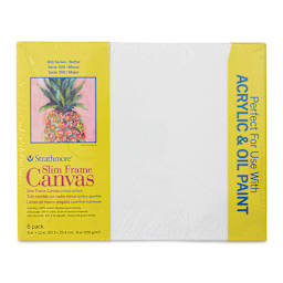 Strathmore 300 Series Slim Frame Stretched Cotton Canvas Pack - 8" x 10", Pkg of 6, front of pack