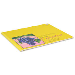 Strathmore 300 Series Cotton Canvas Pad - 16" x 20", 10 Sheets side view