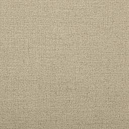 Belle Arti Clear Glue Sized Linen Canvas by the Yard - Medium, 82" x 1 yd, canvas close-up