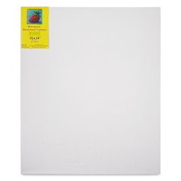 Strathmore 300 Series Stretched Cotton Canvas - 3/4" Profile, 20" x 24"