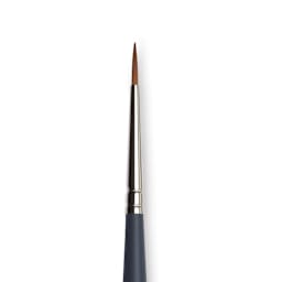 Winsor & Newton Professional Watercolor Synthetic Sable Brush - Round, Size 1, Short Handle (close-up)