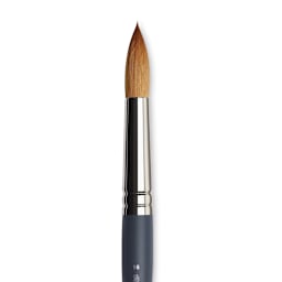 Winsor & Newton Professional Watercolor Synthetic Sable Brush - Round, Size 16, Short Handle (close-up)