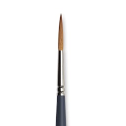 Winsor & Newton Professional Watercolor Synthetic Sable Brush - Rigger, Size 6, Short Handle (close-up)