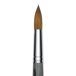 Da Vinci Colineo Synthetic Kolinsky Sable Brush - Round, Size 20, Short Handle (close-up)