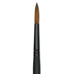 Raphaël Stradivarius Synthetic Kolinsky Sable Brush - Round, Size 8, Short Handle (close-up)