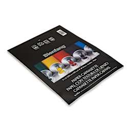 Bienfang Canvasette Paper Canvas - 9" x 12", White, 10 sheets laid on side