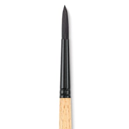 Princeton Catalyst Polytip Brush - Round, Size 8, Short Handle close up